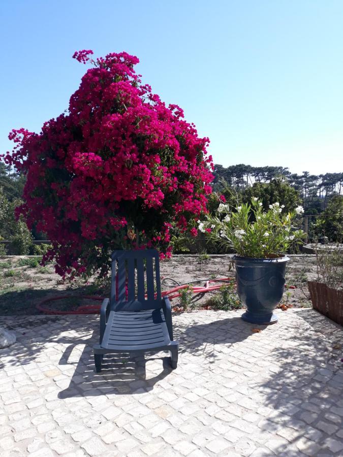 Plage Et Foret Pobral ภายนอก รูปภาพ