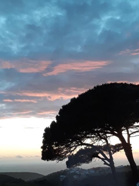 Plage Et Foret Pobral ภายนอก รูปภาพ